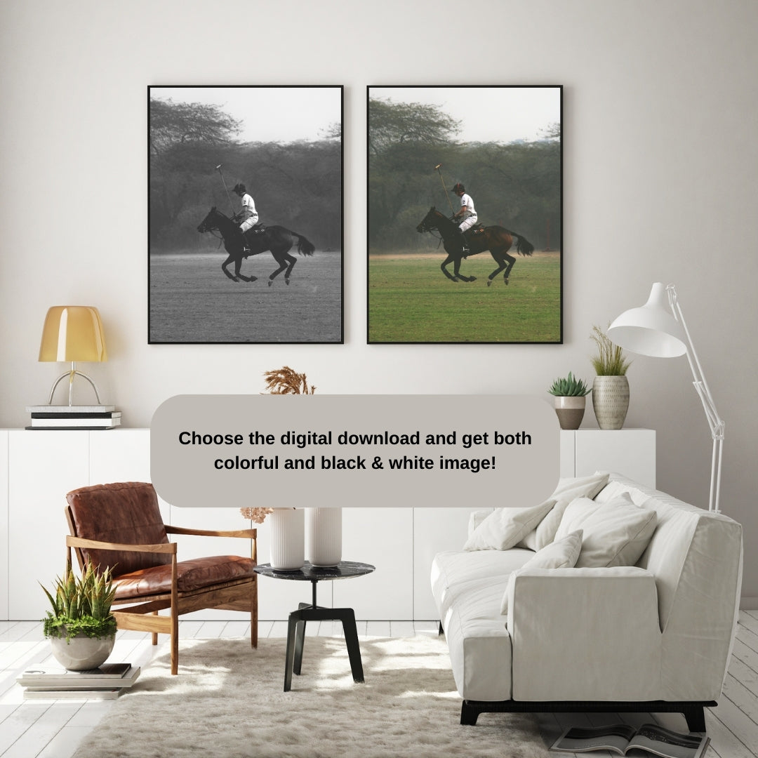 Polo Poster