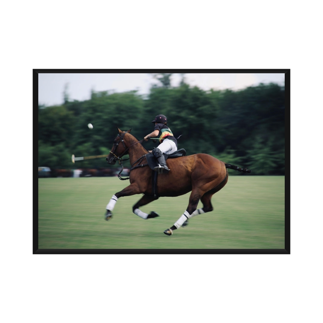 Polo Poster