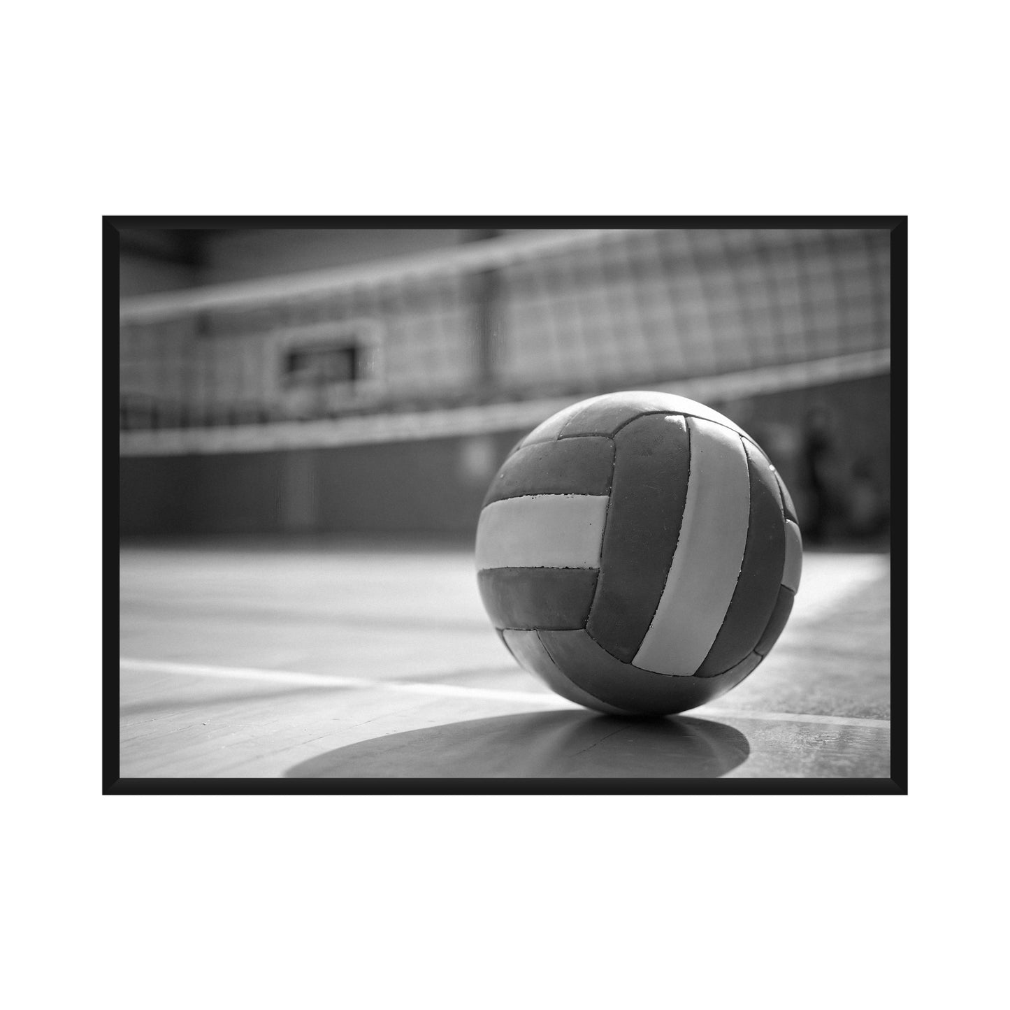 Volleyball Poster