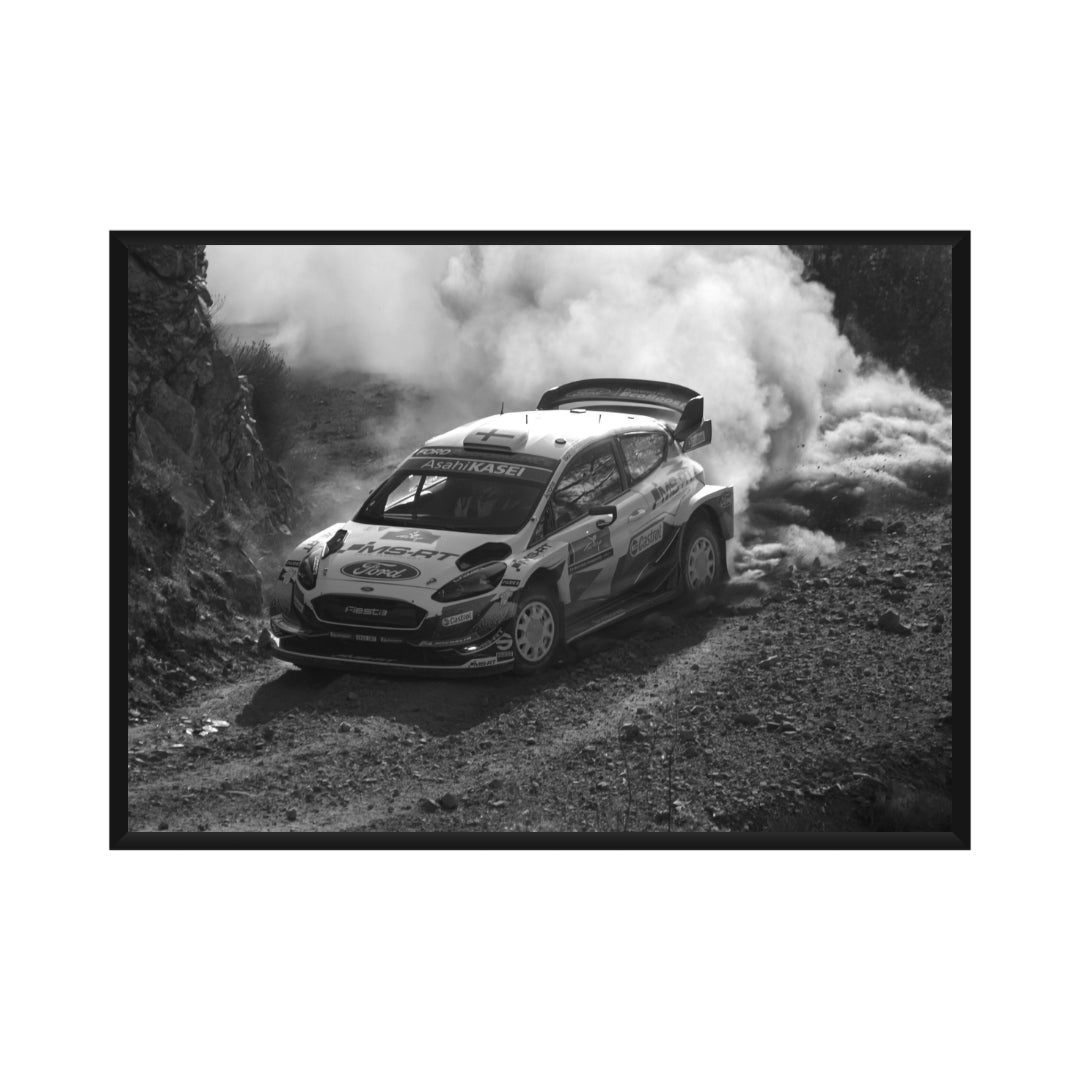 Rally Poster