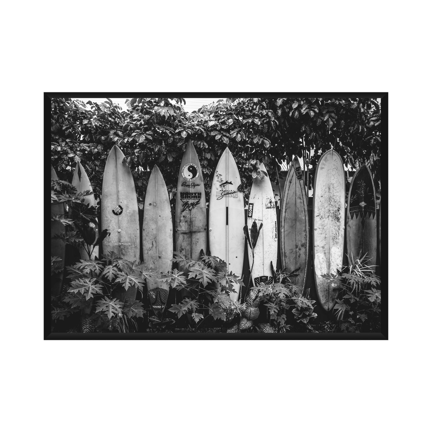 Surf Poster