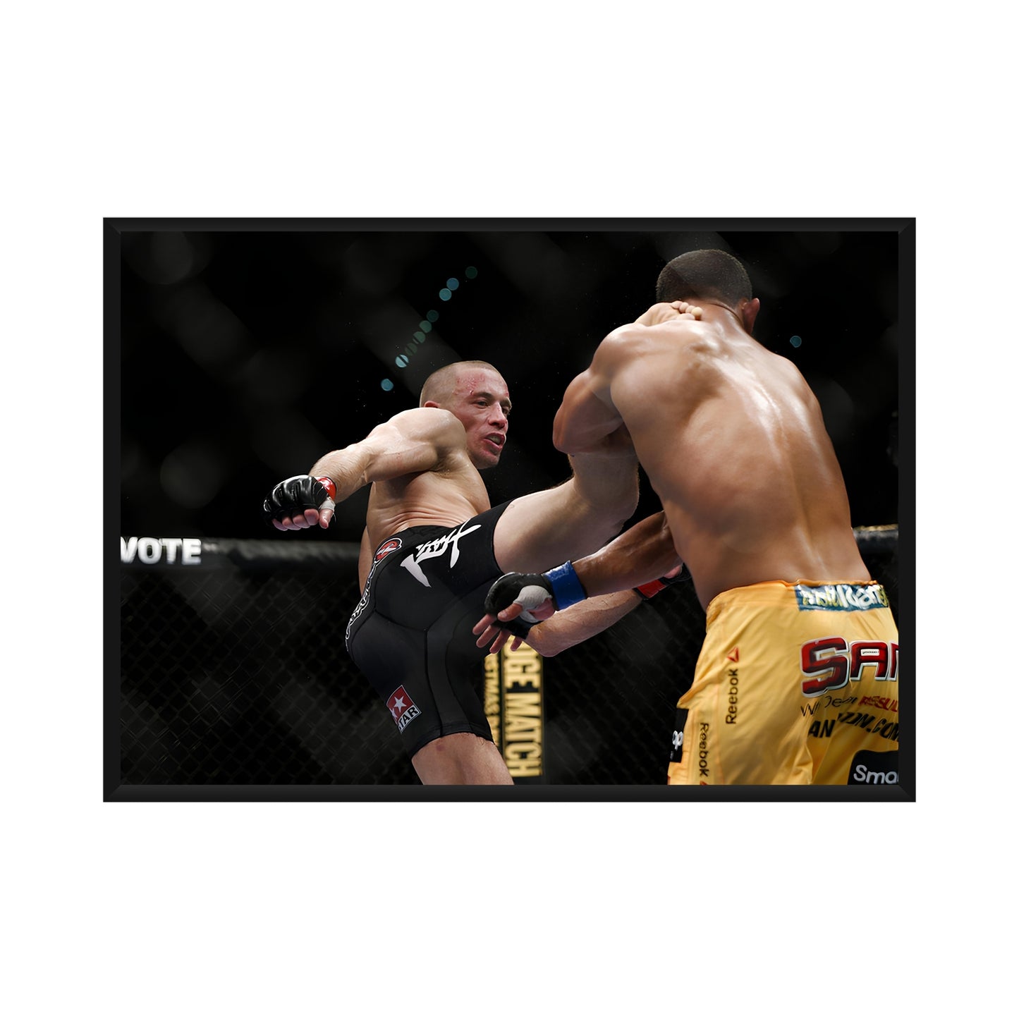 Georges Saint-Pierre