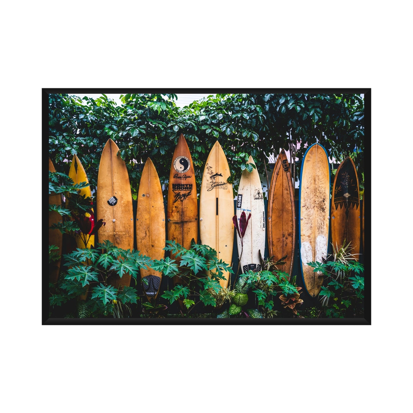 Surf Poster