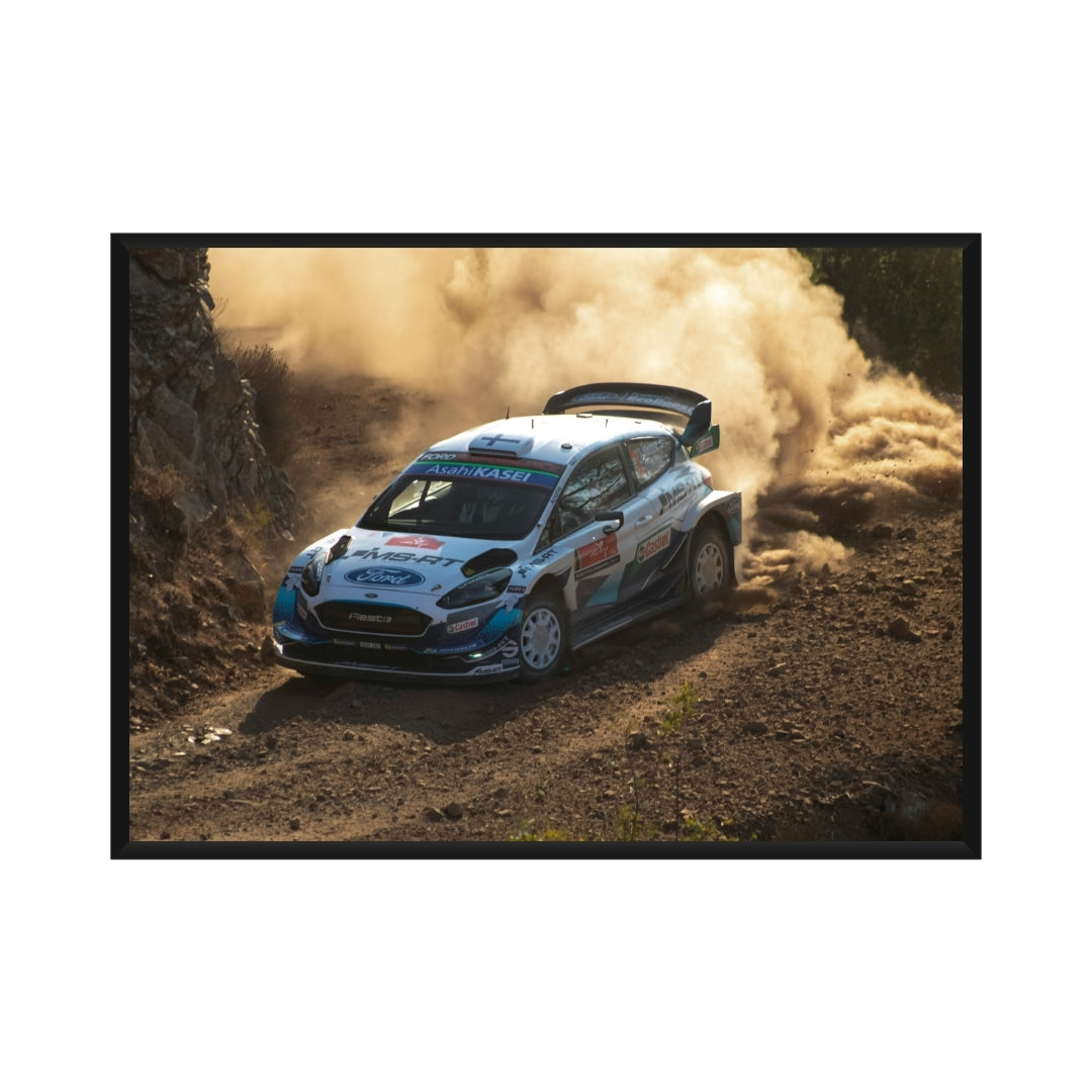 Rally Poster