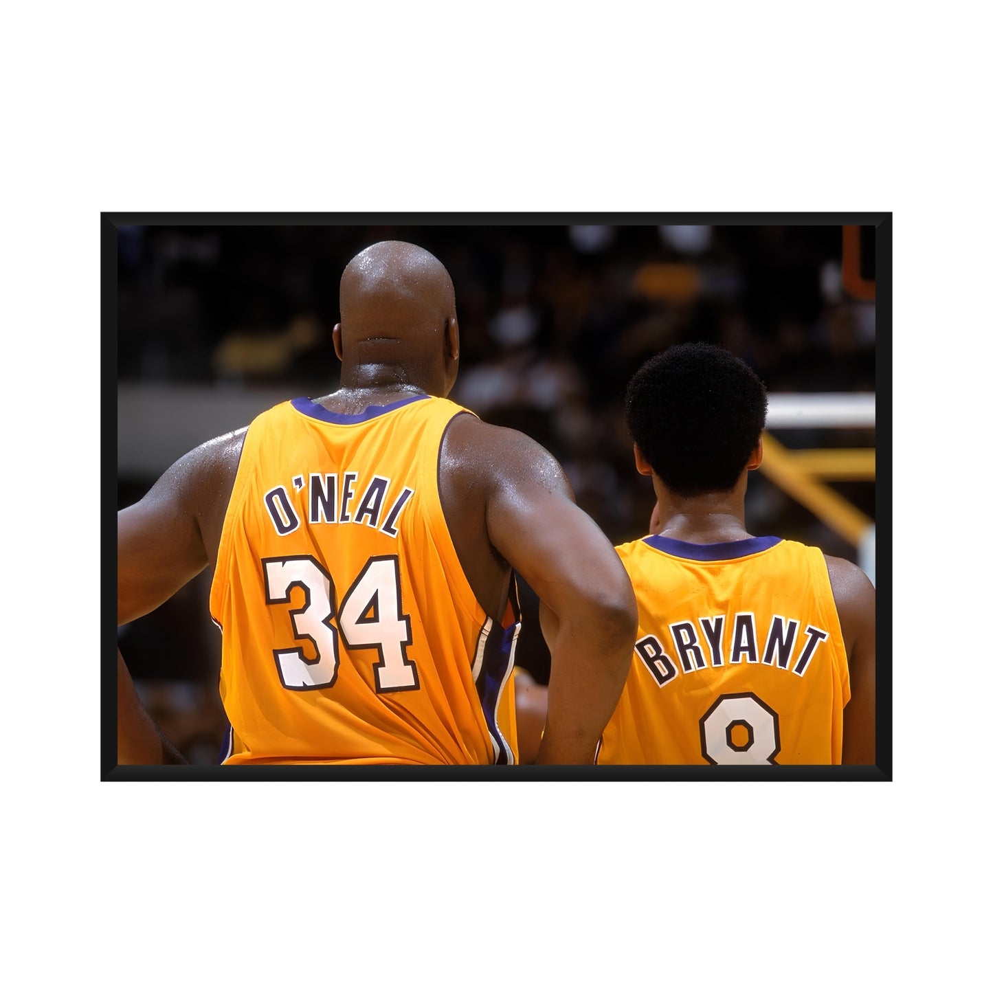Shaquille O'Neal x Kobe Bryant