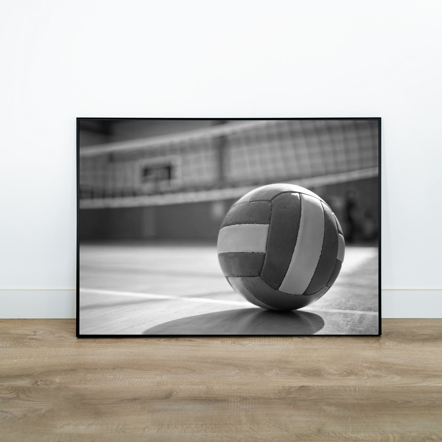 Volleyball Poster