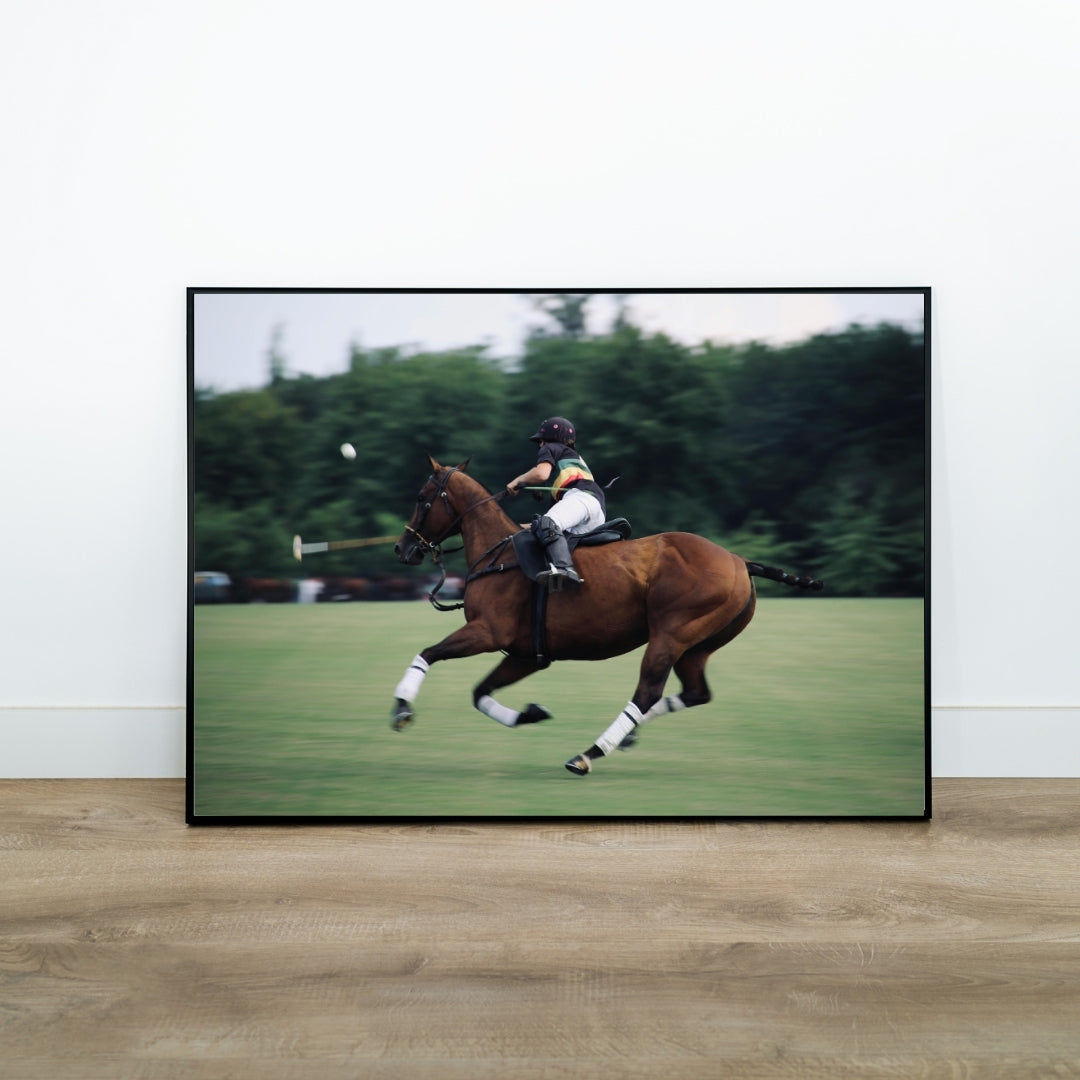 Polo Poster