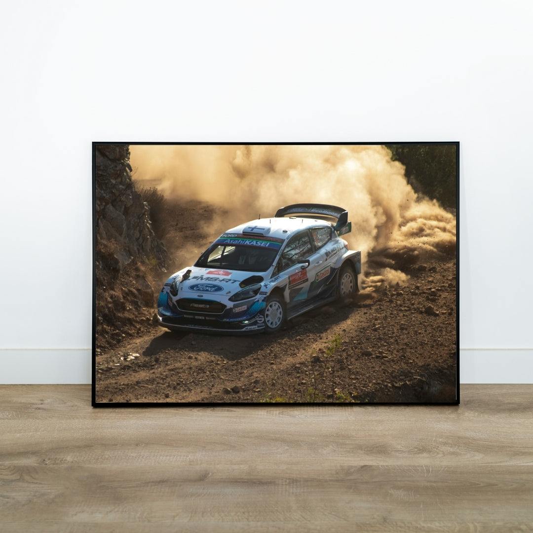 Rally Poster
