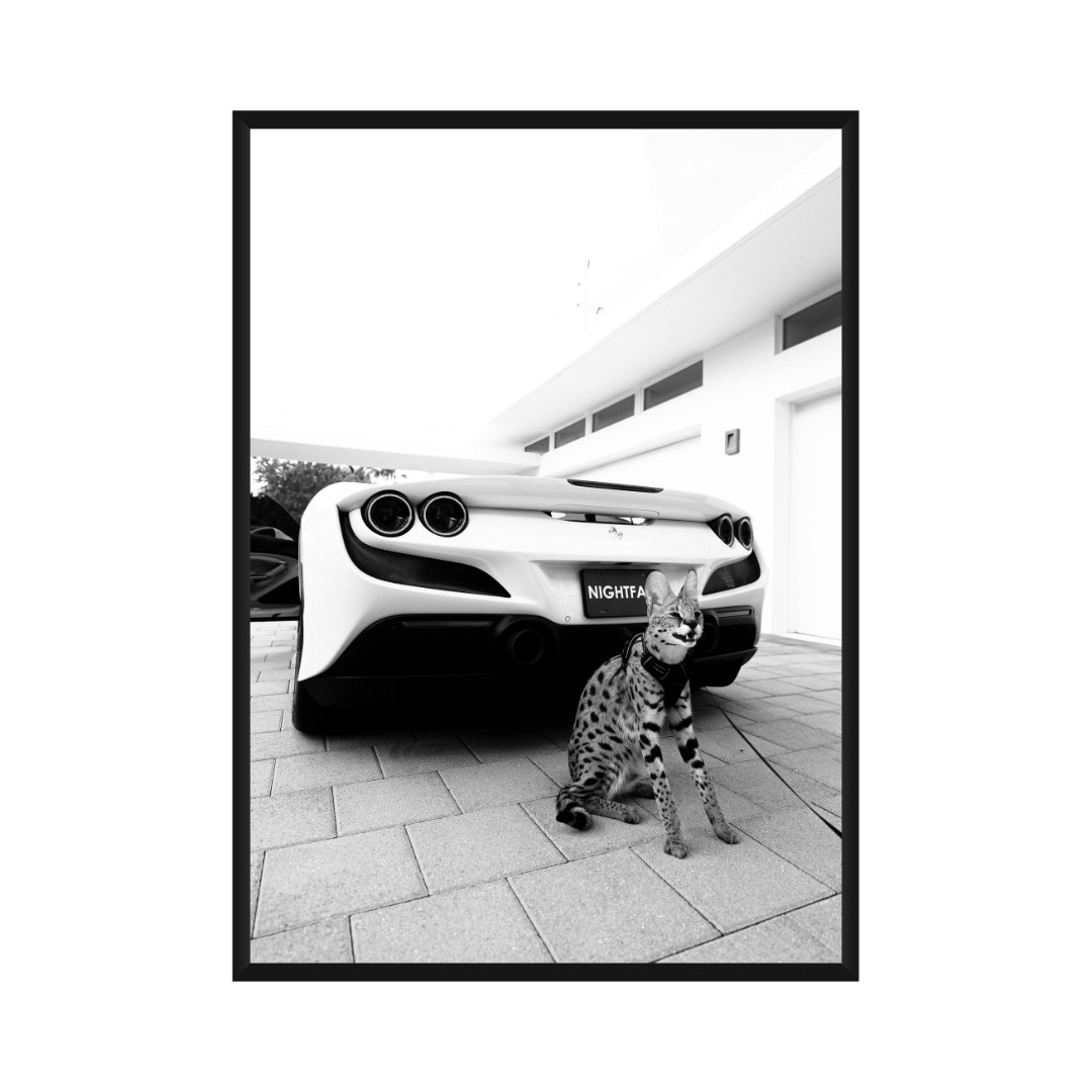 Ferrari F8 Poster
