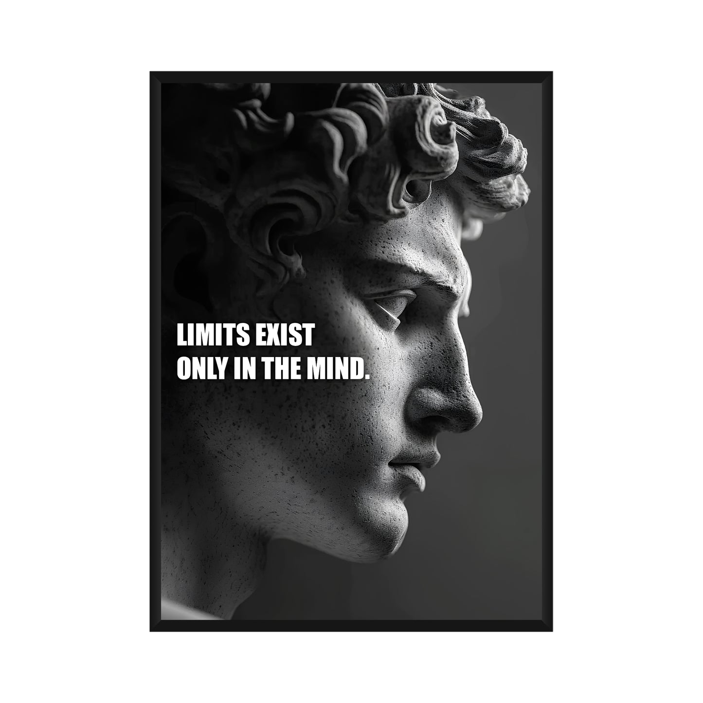 Motivational Poster