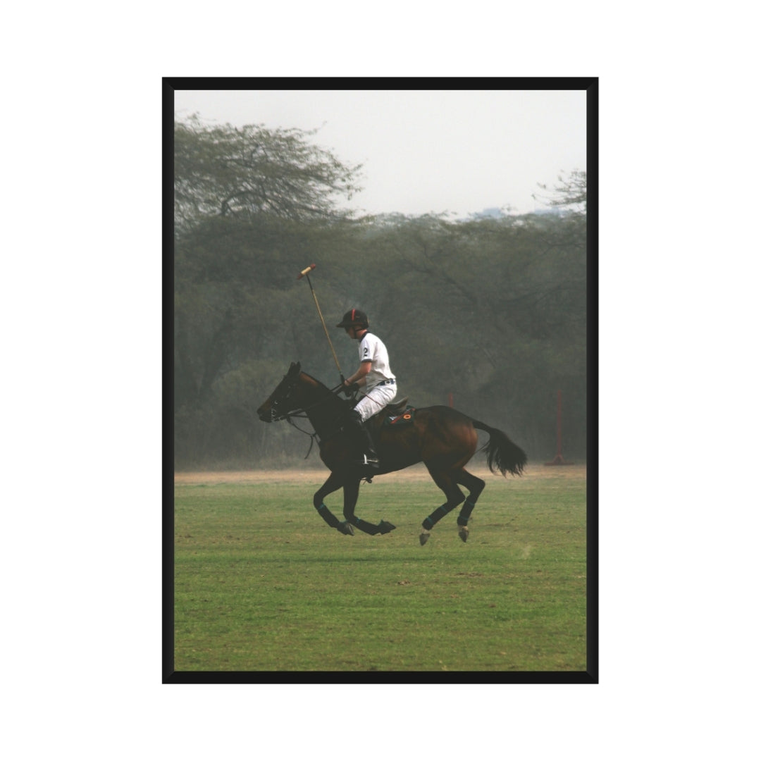 Polo Poster
