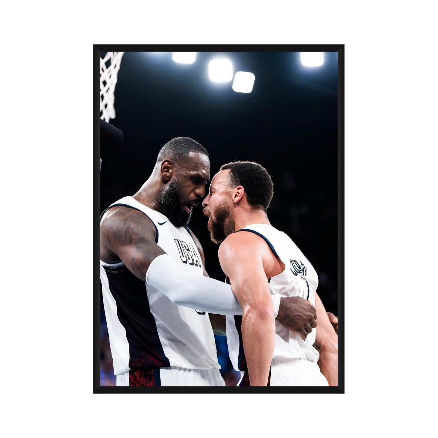 LeBron James x Stephen Curry