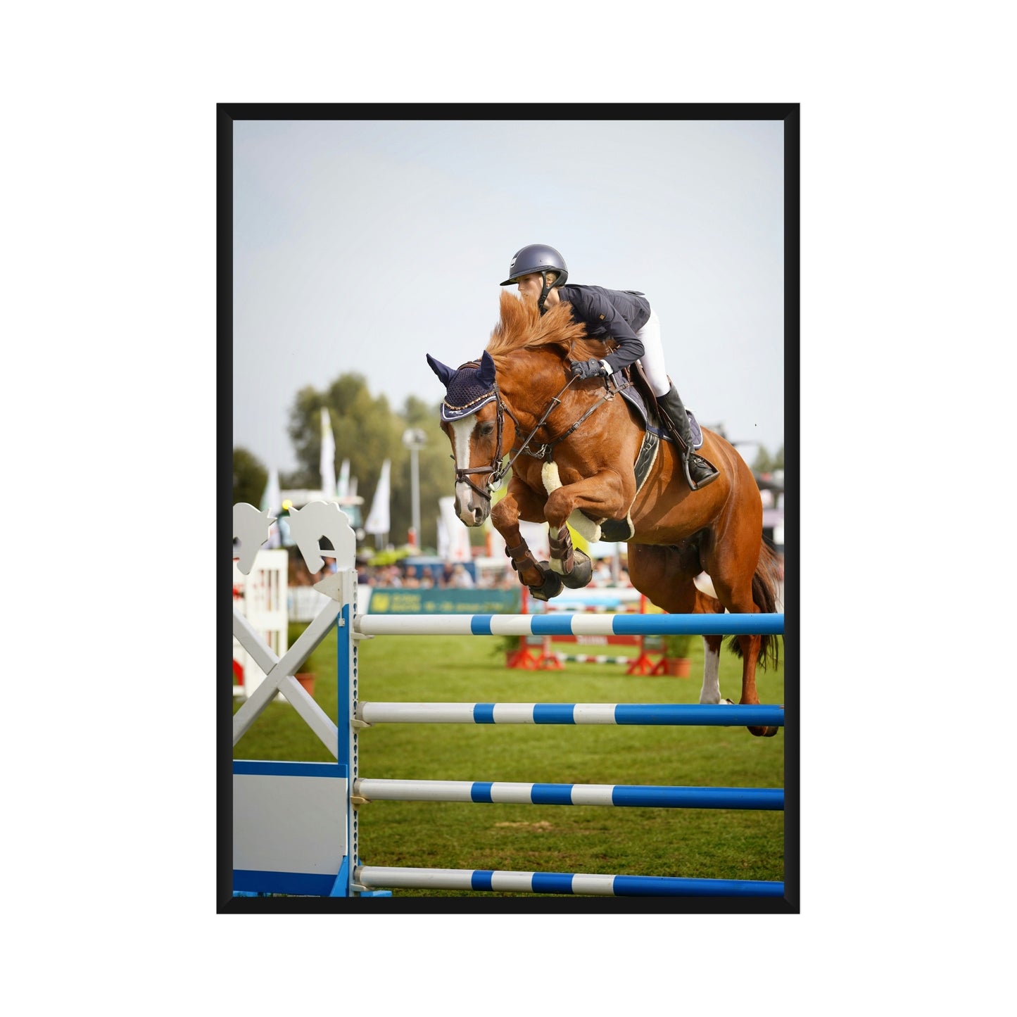 Horse Riding Poster