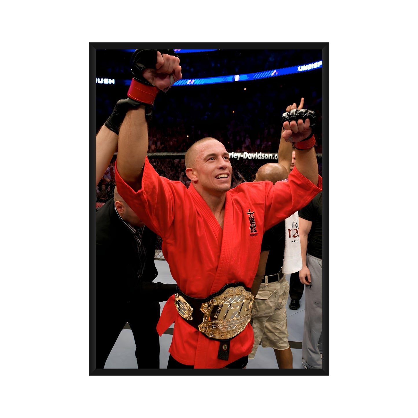 Georges Saint-Pierre