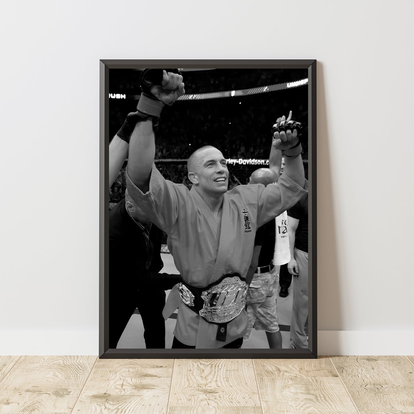 Georges Saint-Pierre