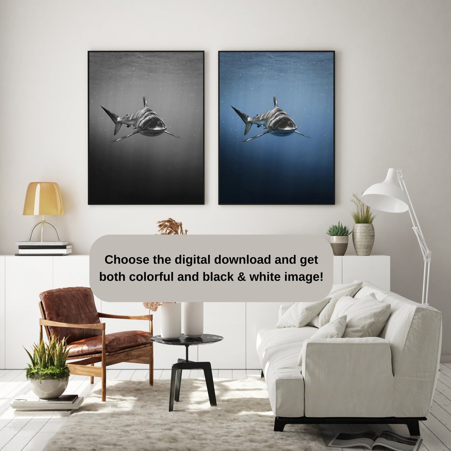 Motivational Poster