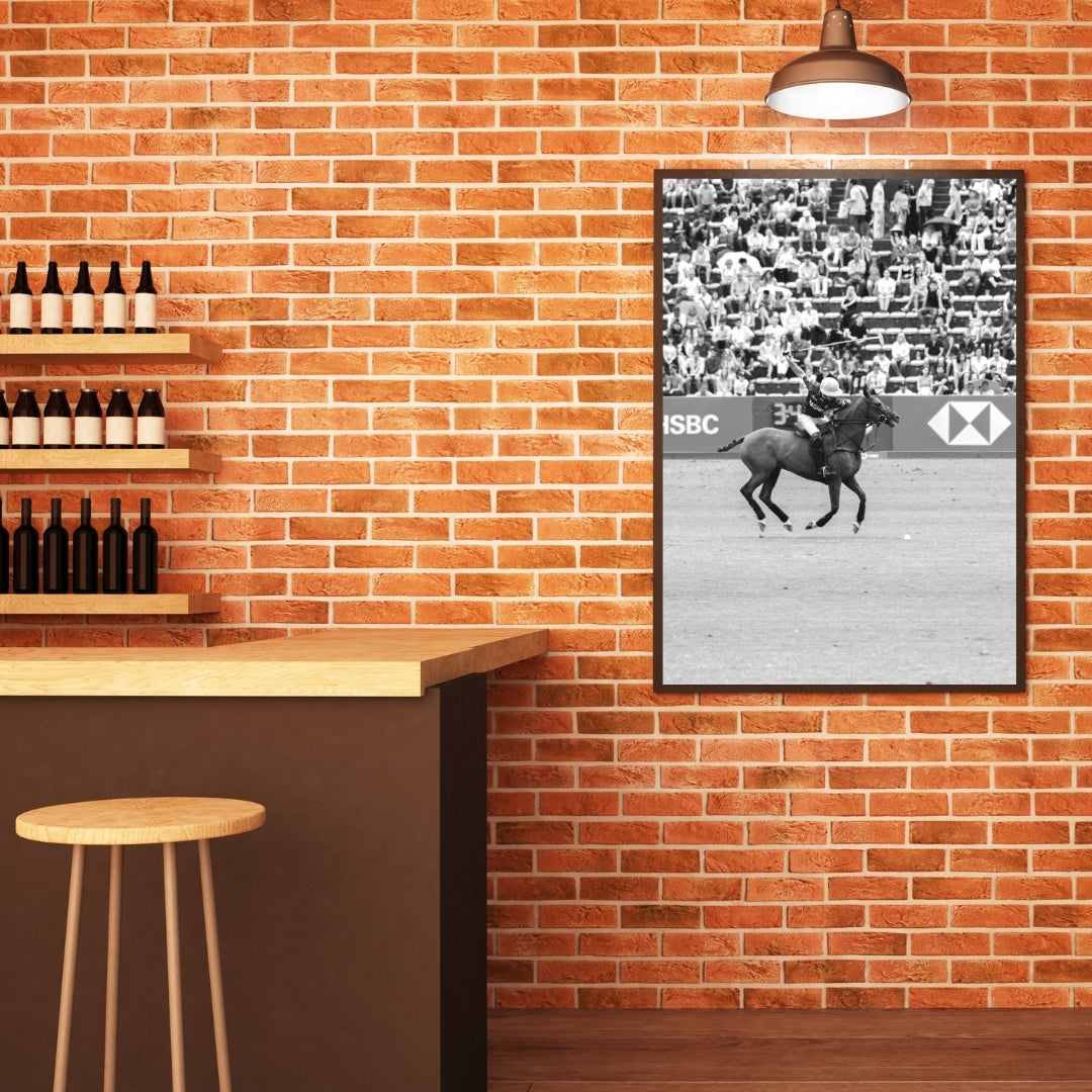 Polo Poster