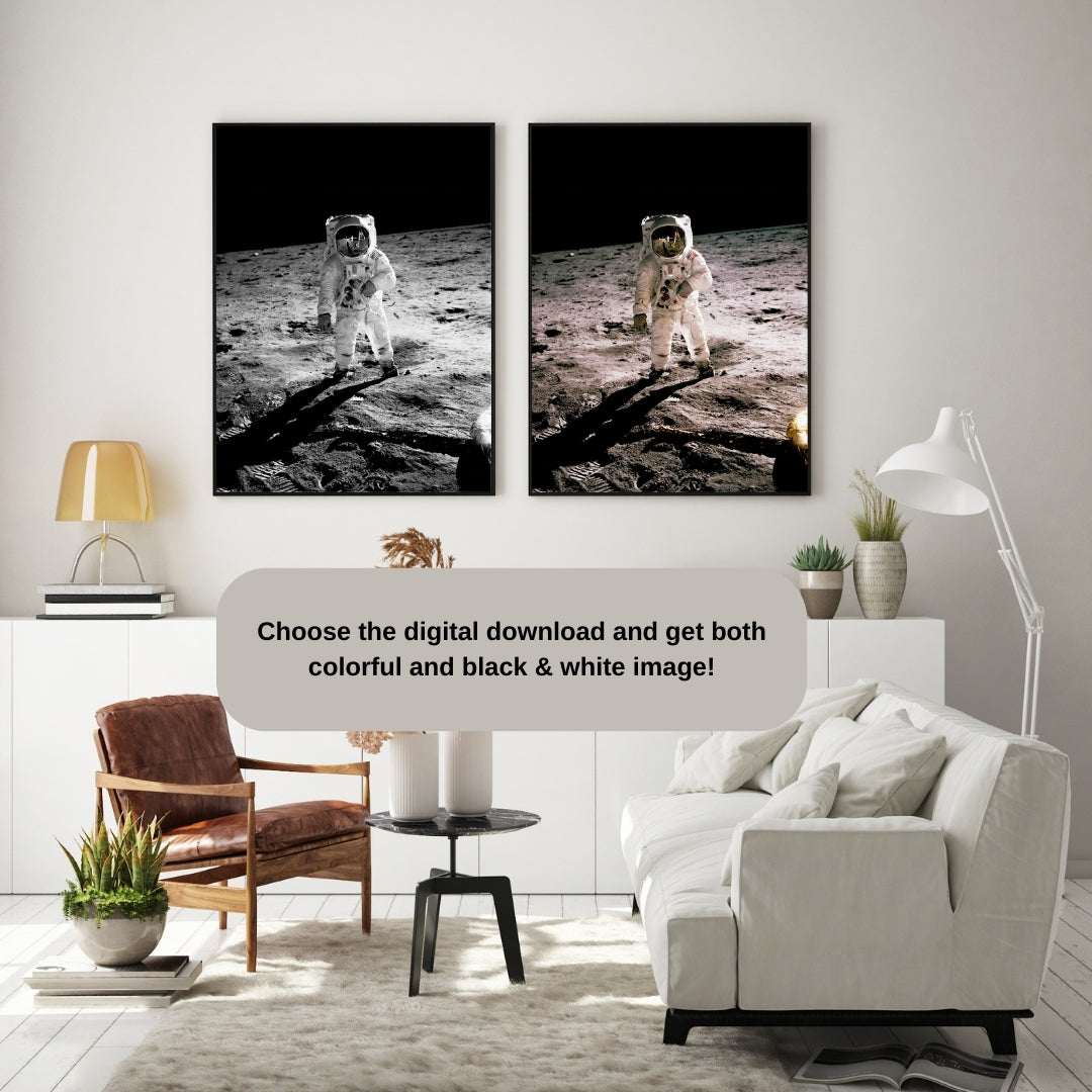 Buzz Aldrin Poster