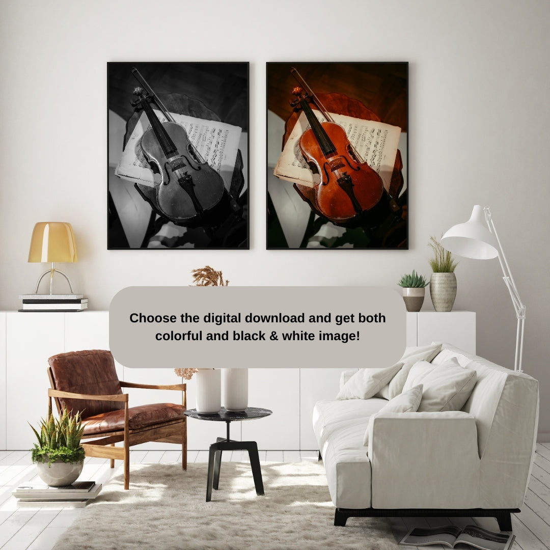 Violin Poster