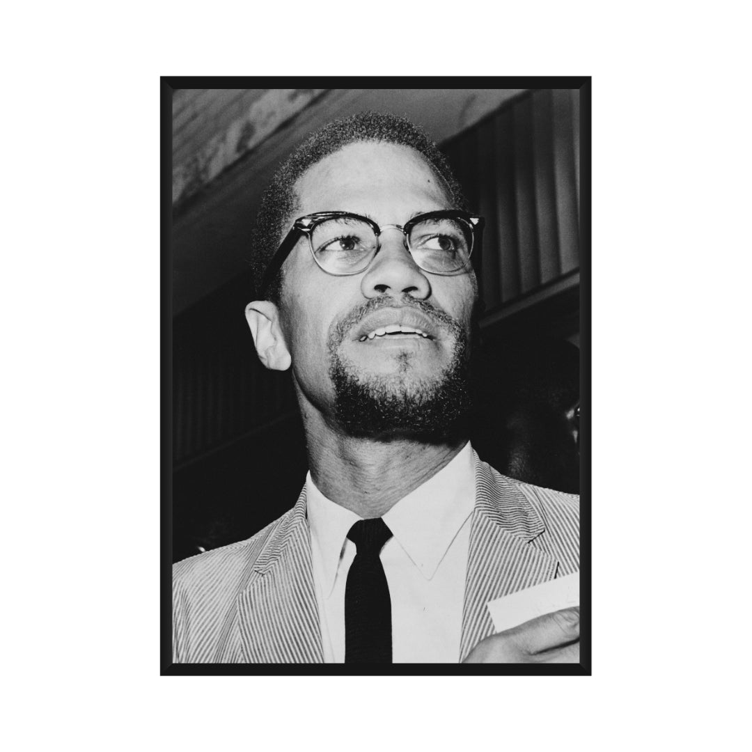 Malcolm X Poster