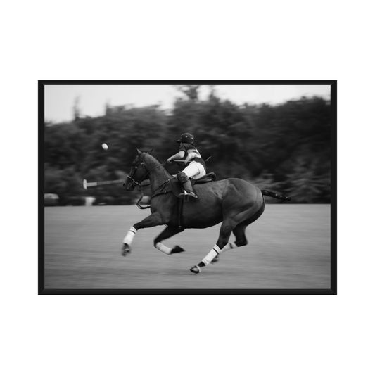 Polo Poster