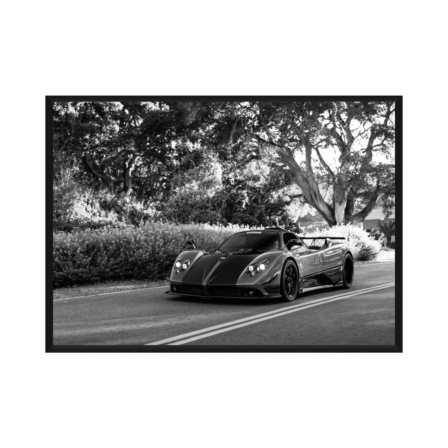 Pagani Poster