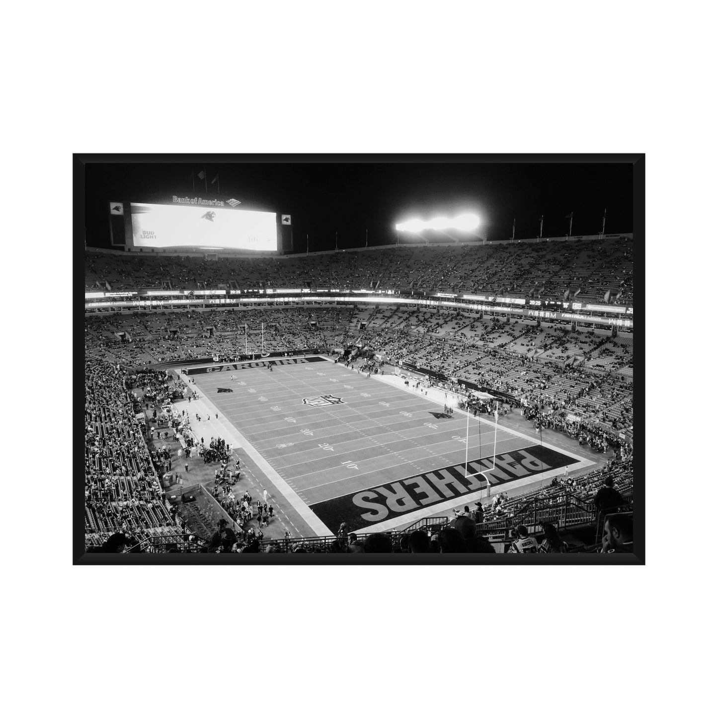 Bank of America Stadium Poster