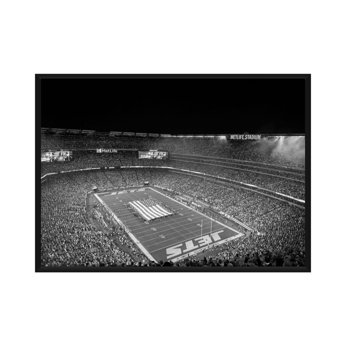 MetLife Stadium Poster