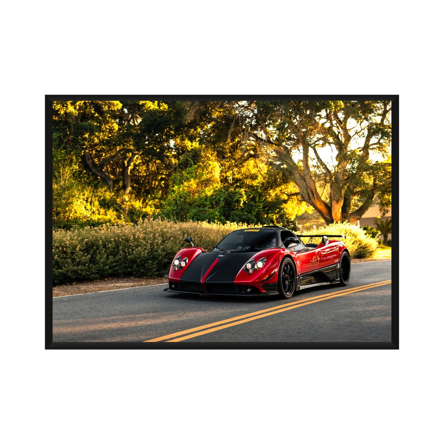 Pagani Poster