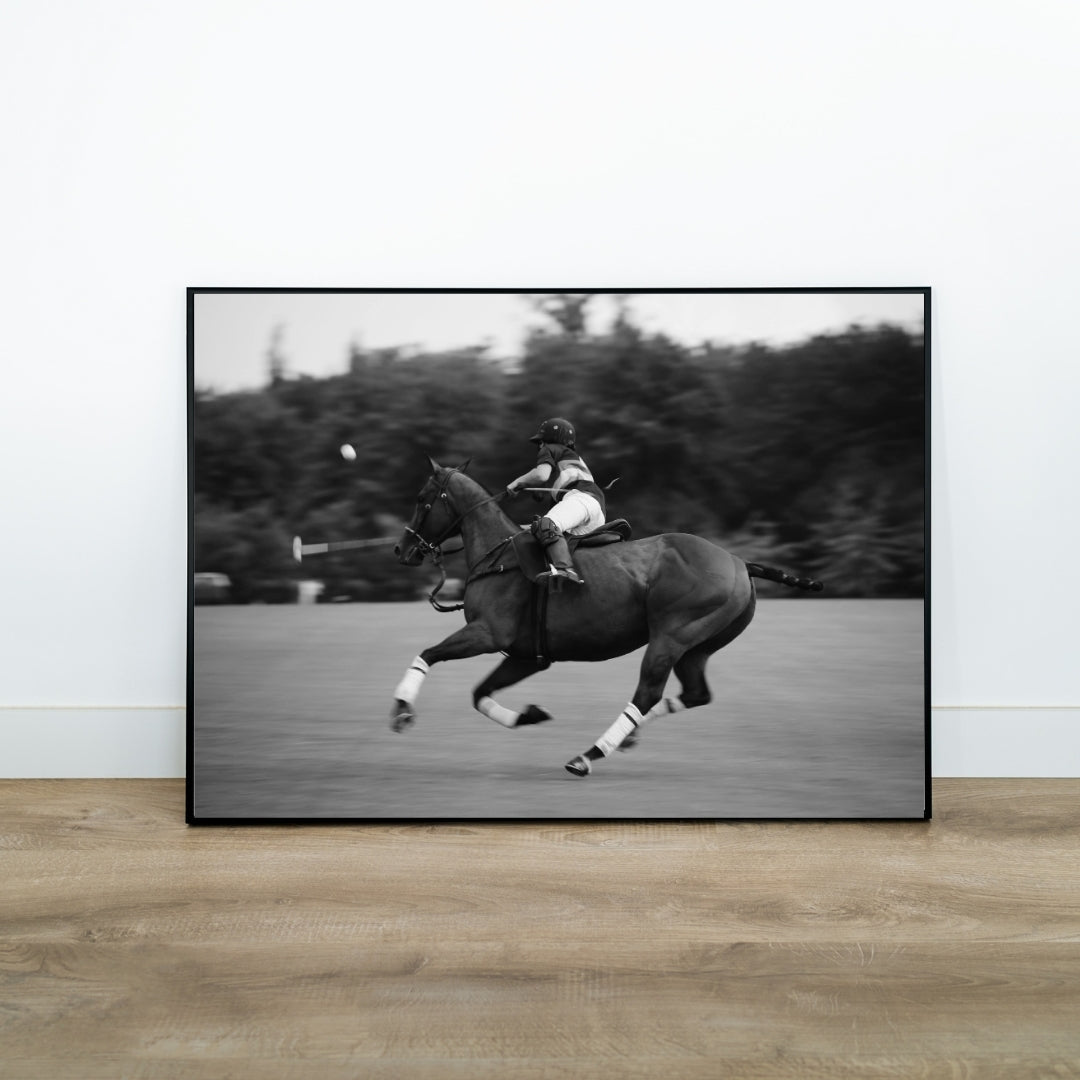 Polo Poster