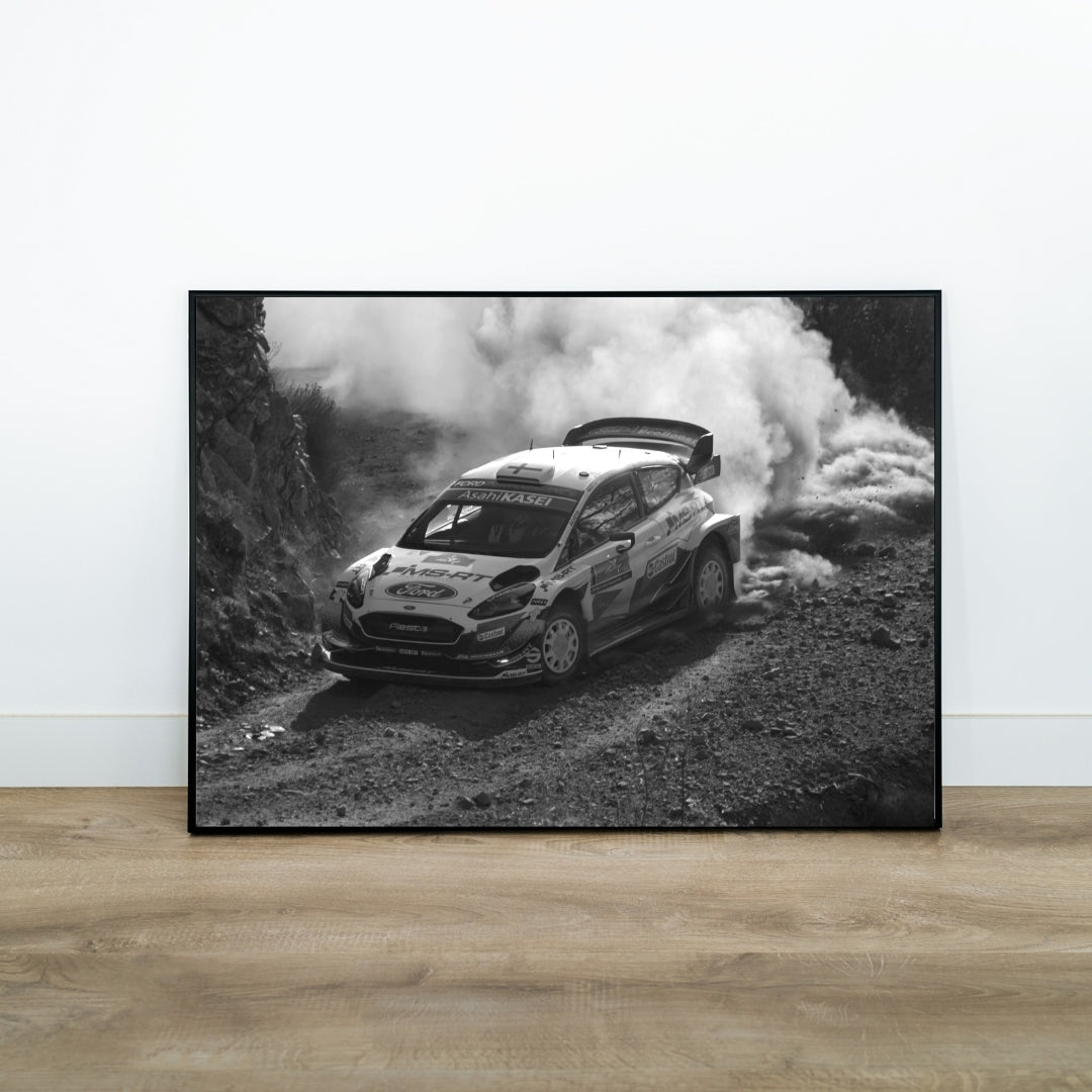 Rally Poster