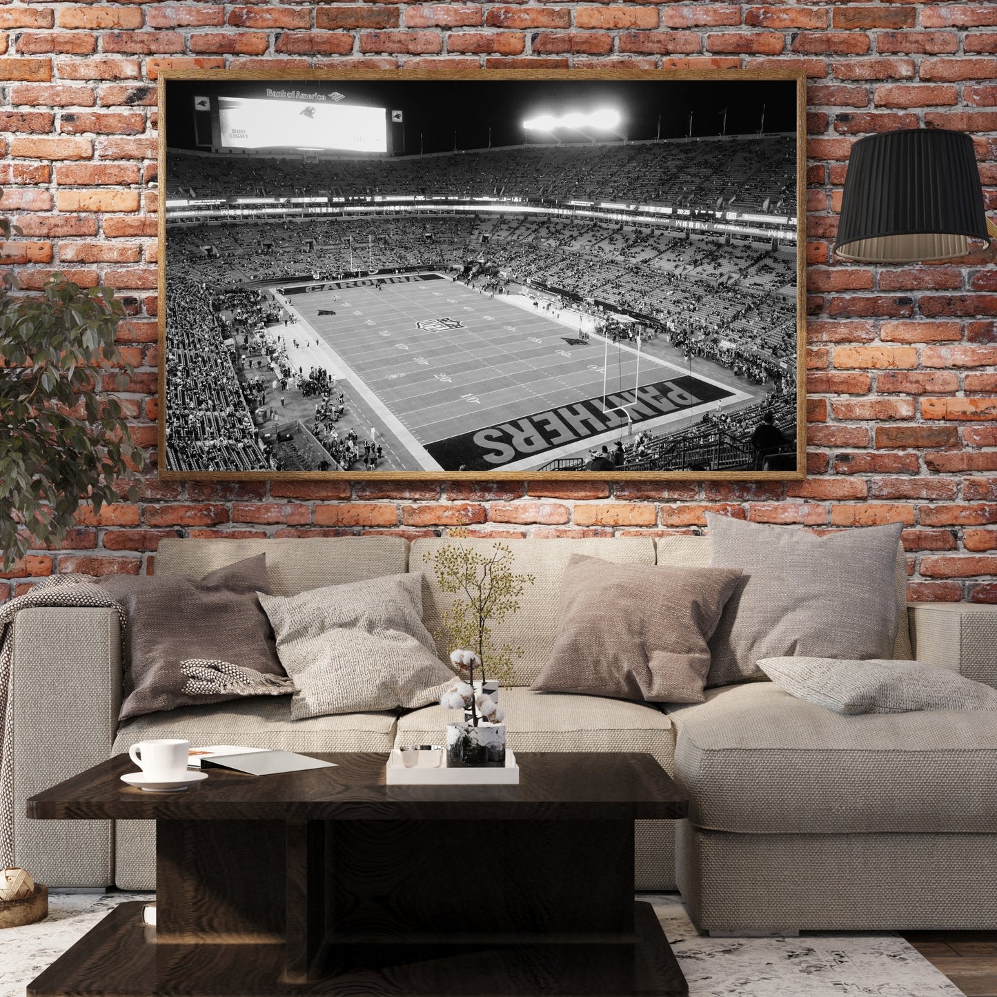 Bank of America Stadium Poster