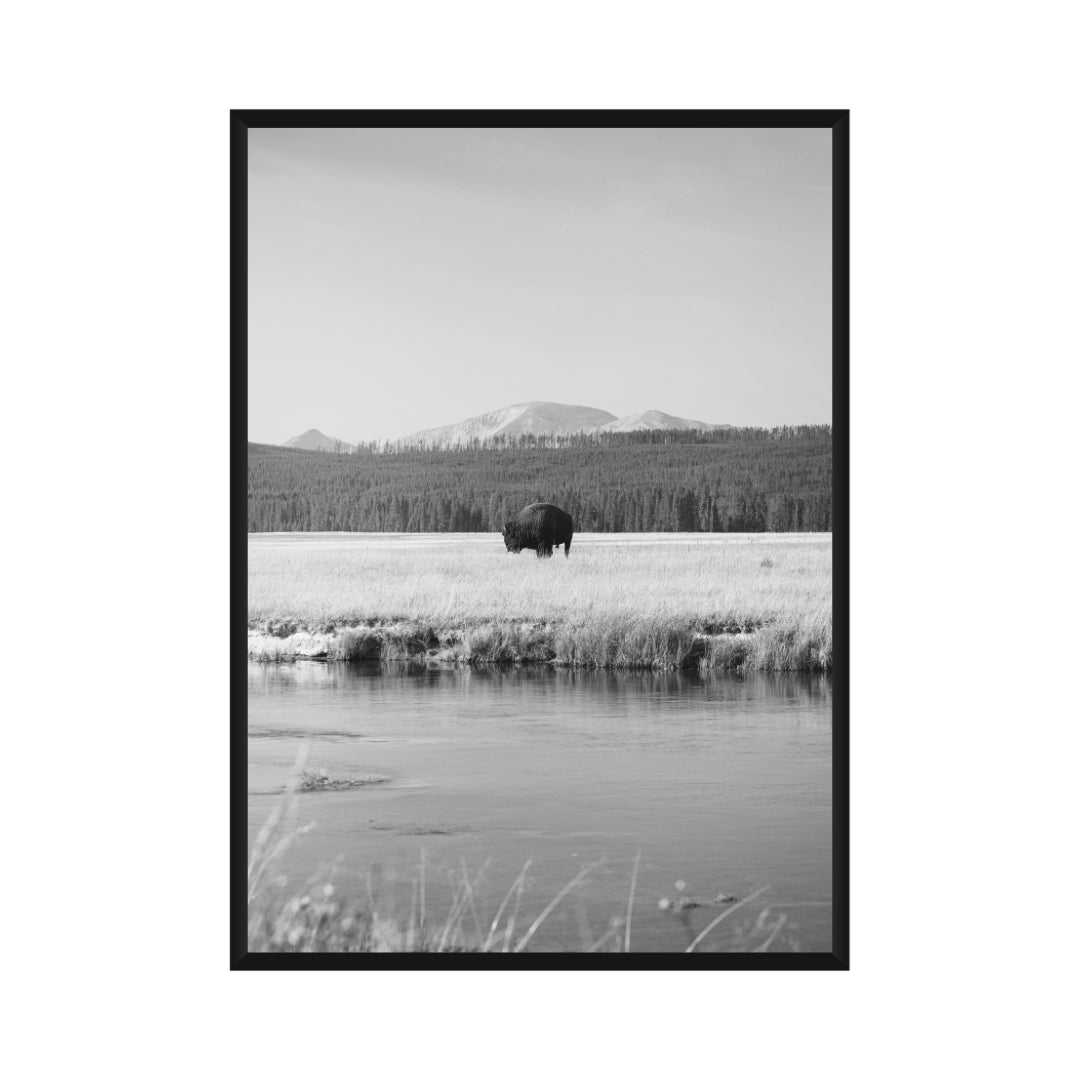 Yellowstone Poster