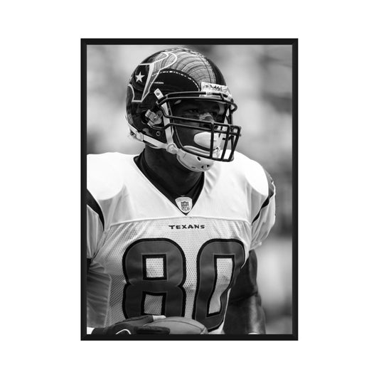 Andre Johnson