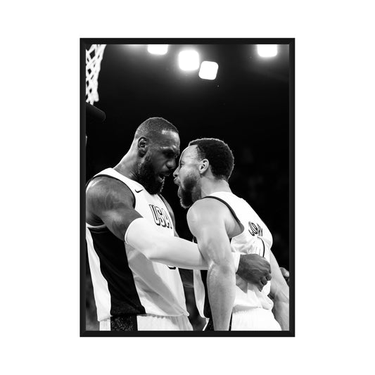 LeBron James x Stephen Curry