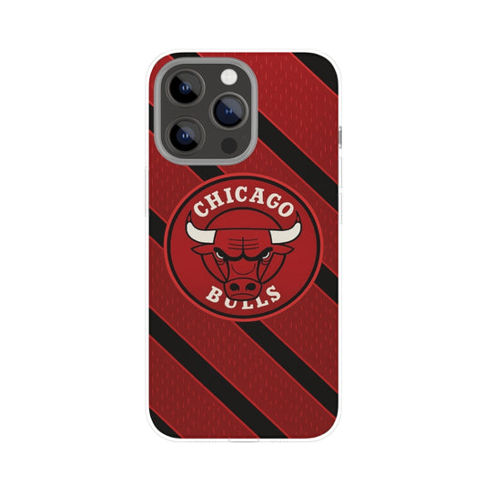 Chicago Bulls