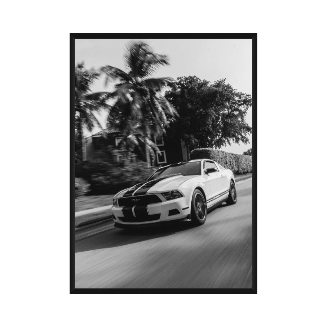 Ford Mustang Poster