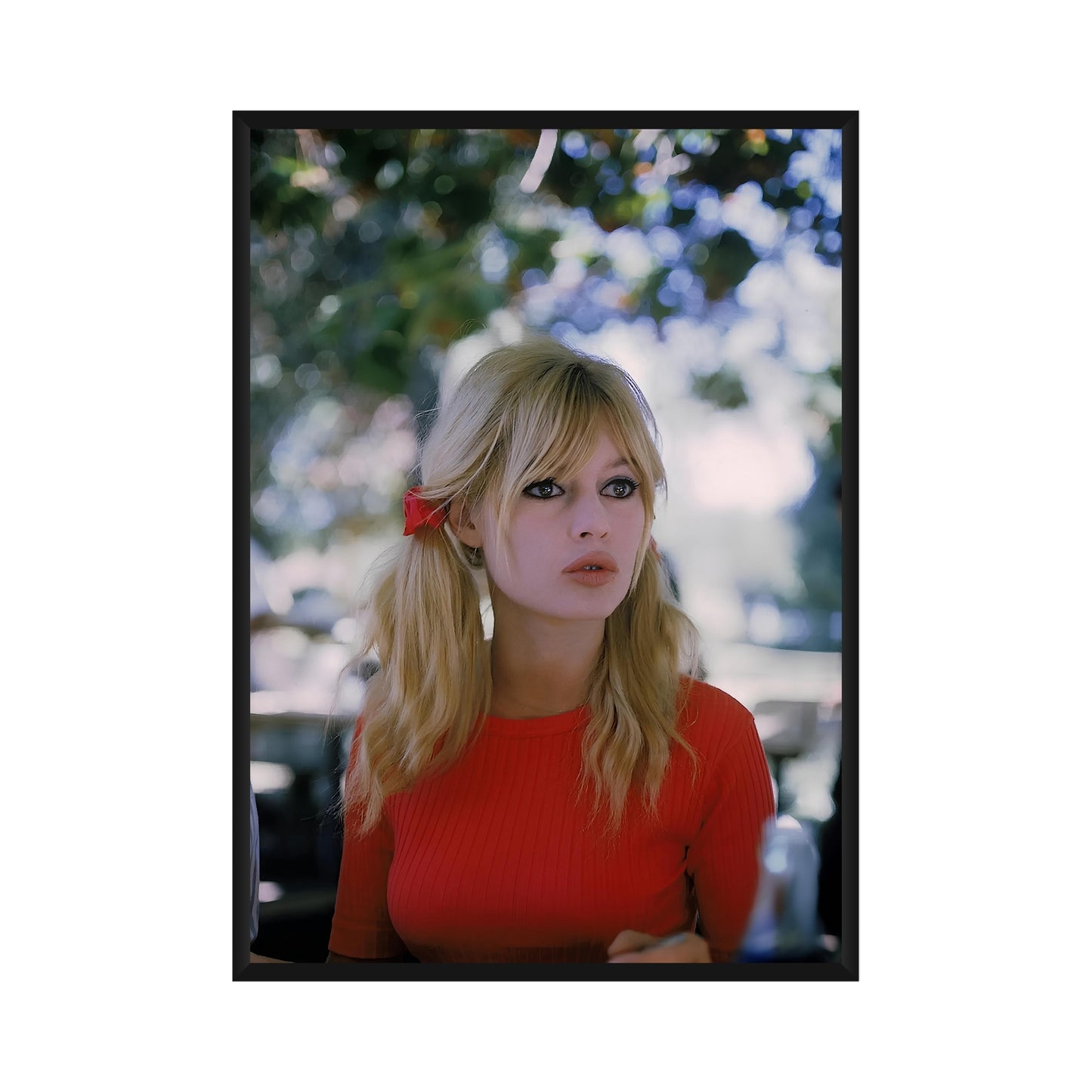 Brigitte Bardot