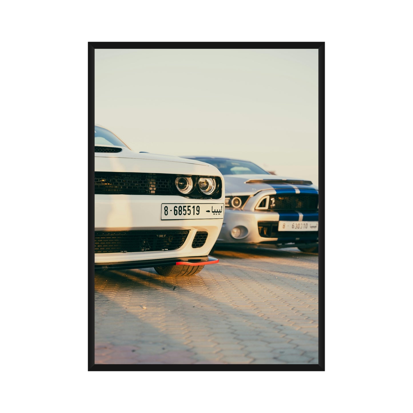 Dodge Challenger x Ford Mustang
