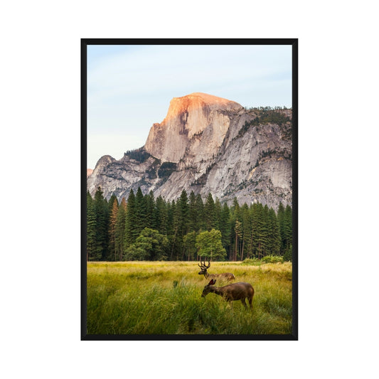 Yosemite Poster