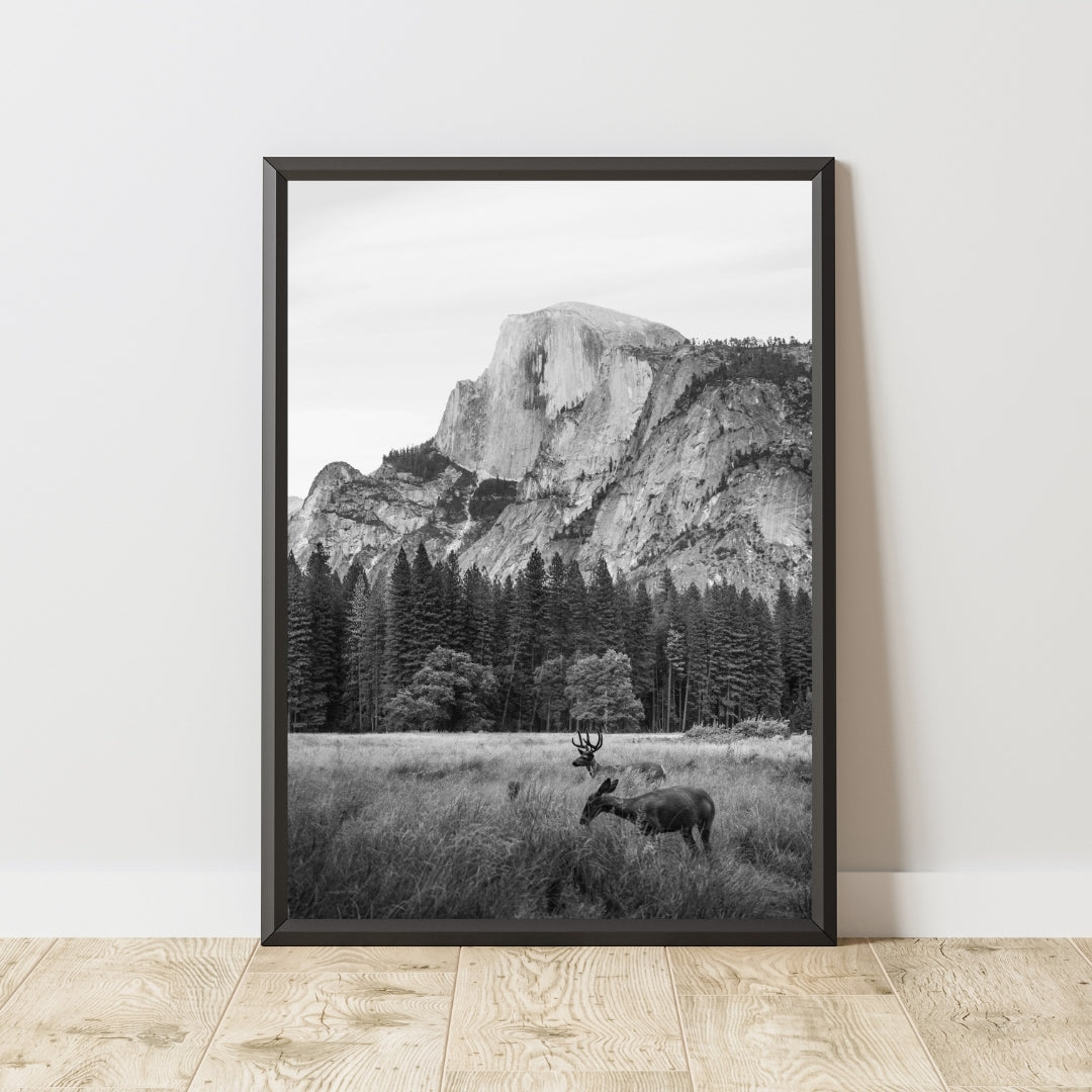 Yosemite Poster