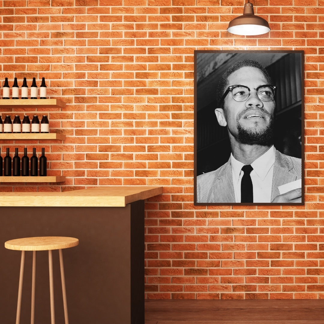 Malcolm X Poster