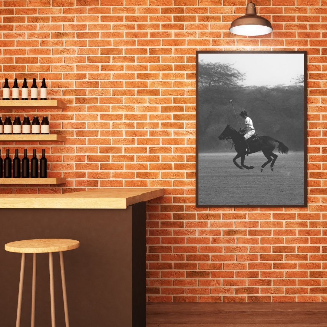 Polo Poster